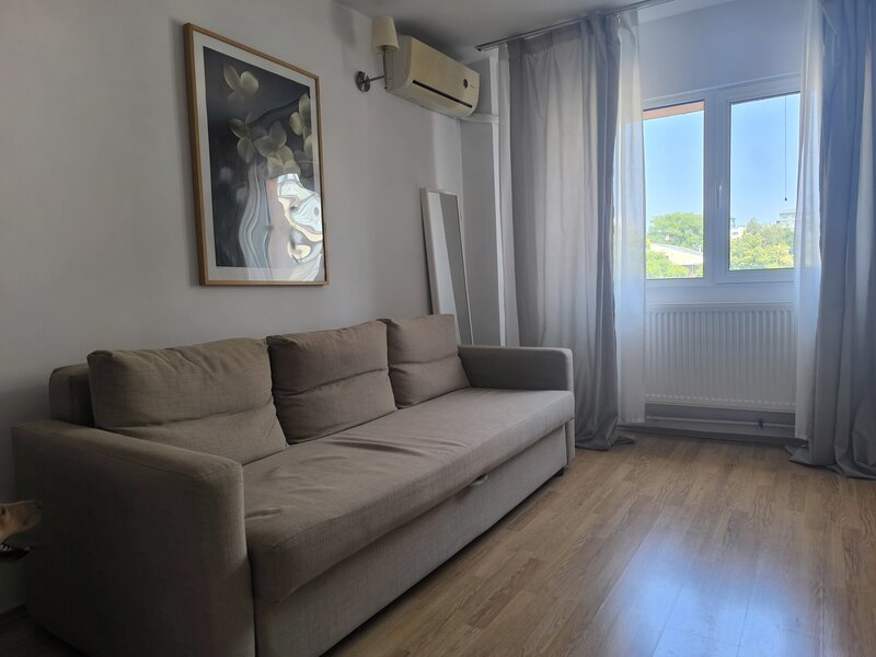 Tei, Barbu Vacarescu.