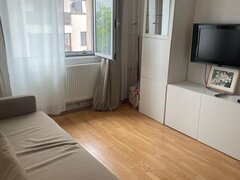 Barbu Vacarescu, Ramuri Tei