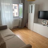 Barbu Vacarescu, Ramuri Tei